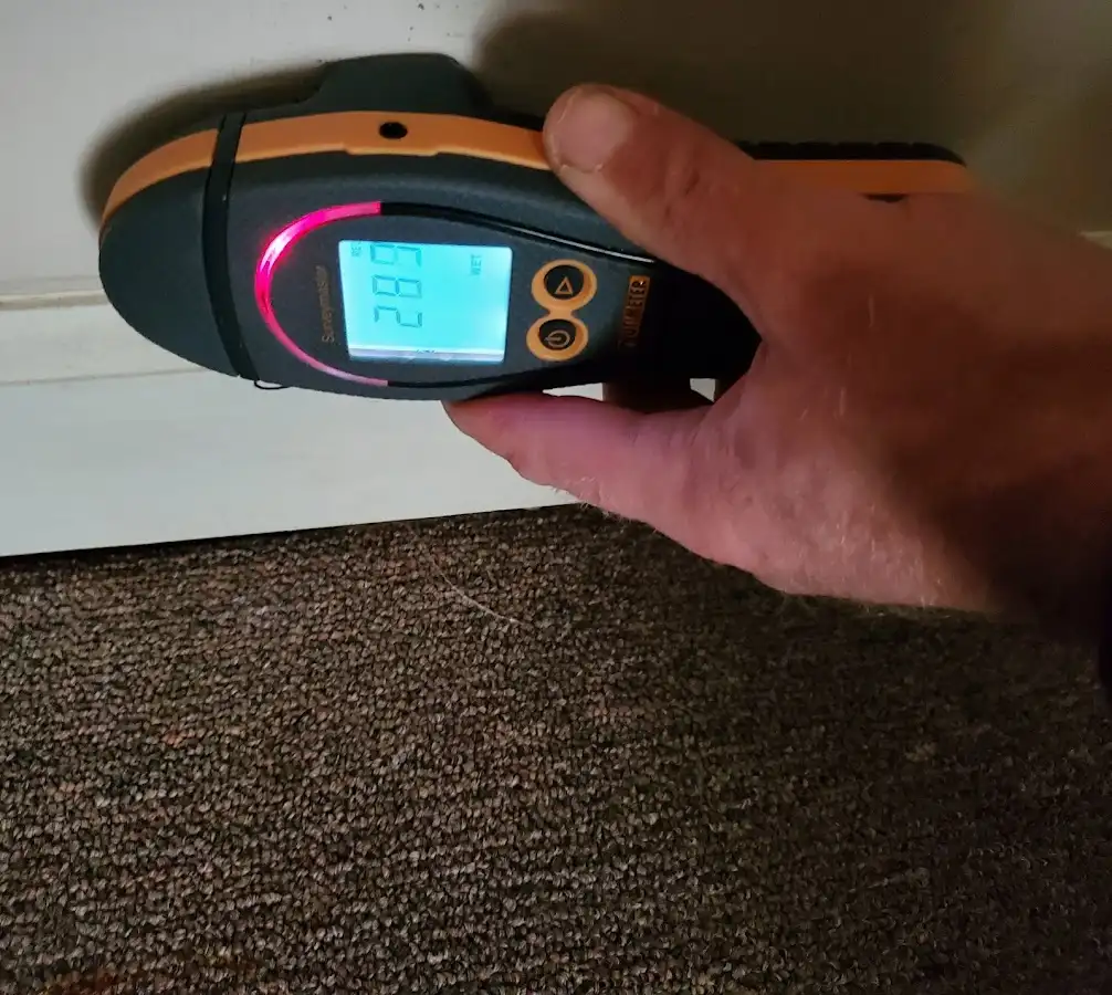 Moisture detection at baseboard during Sewage Cleanup & Sanitation in Middletown